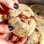 Mani che tengono una cookie.